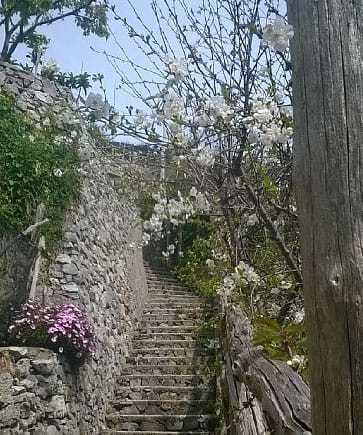 Agriturimo il Campanile - Minori